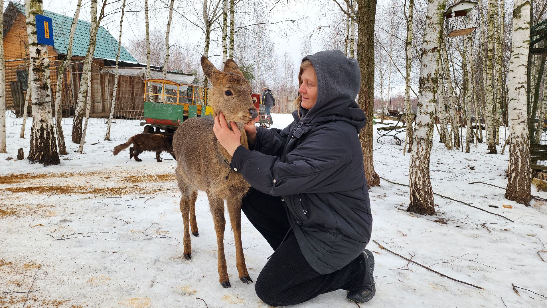 Север