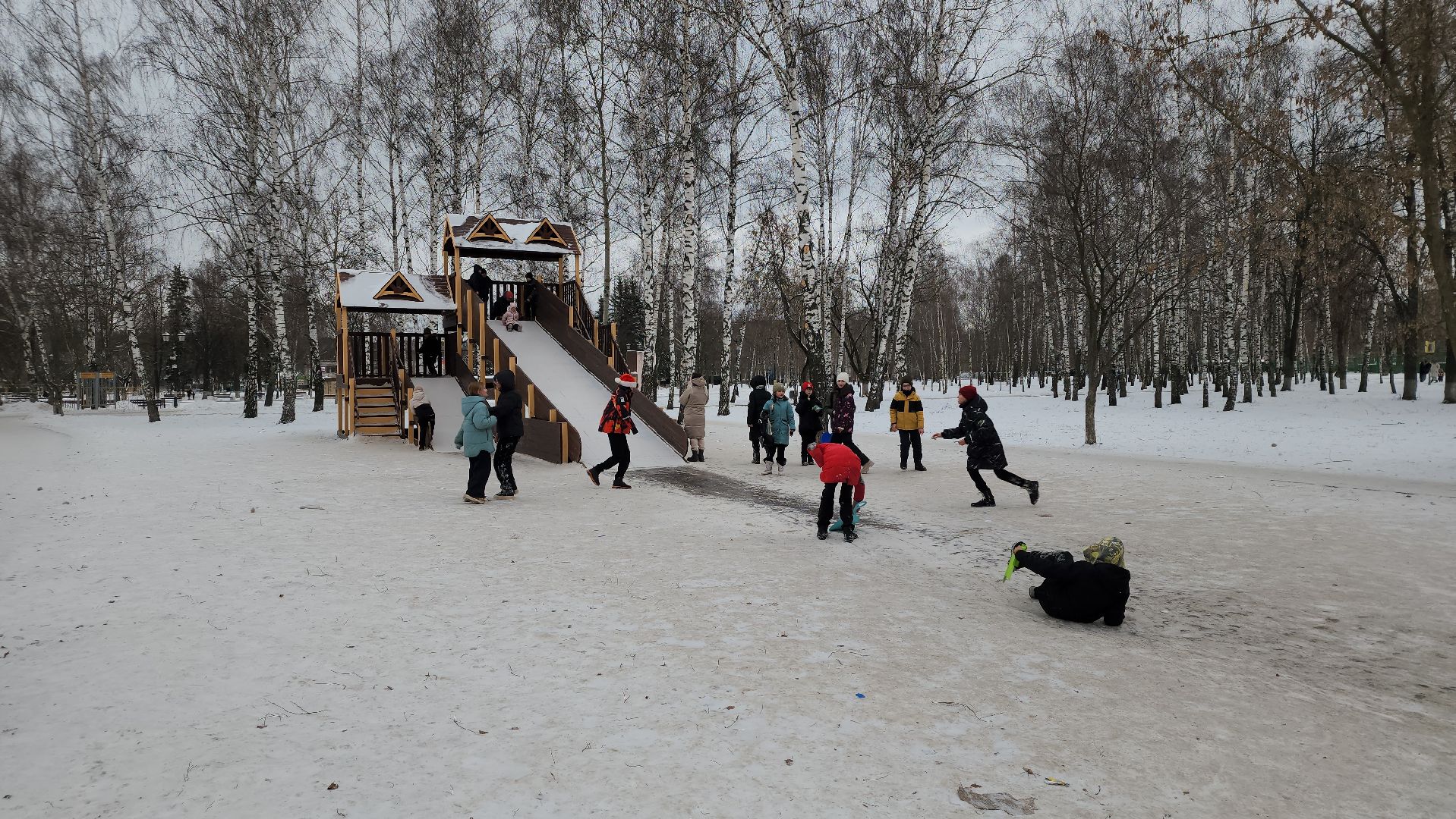 богородский городской округ