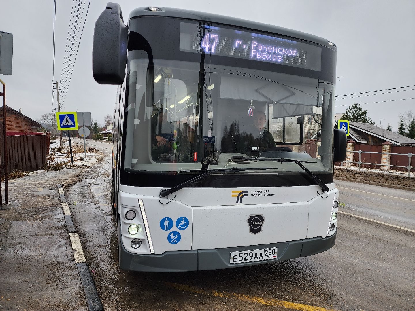 автобусы