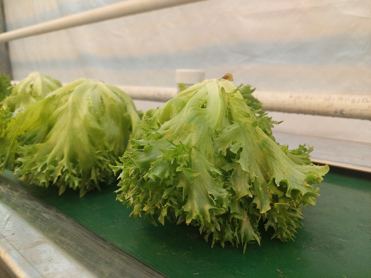 производство