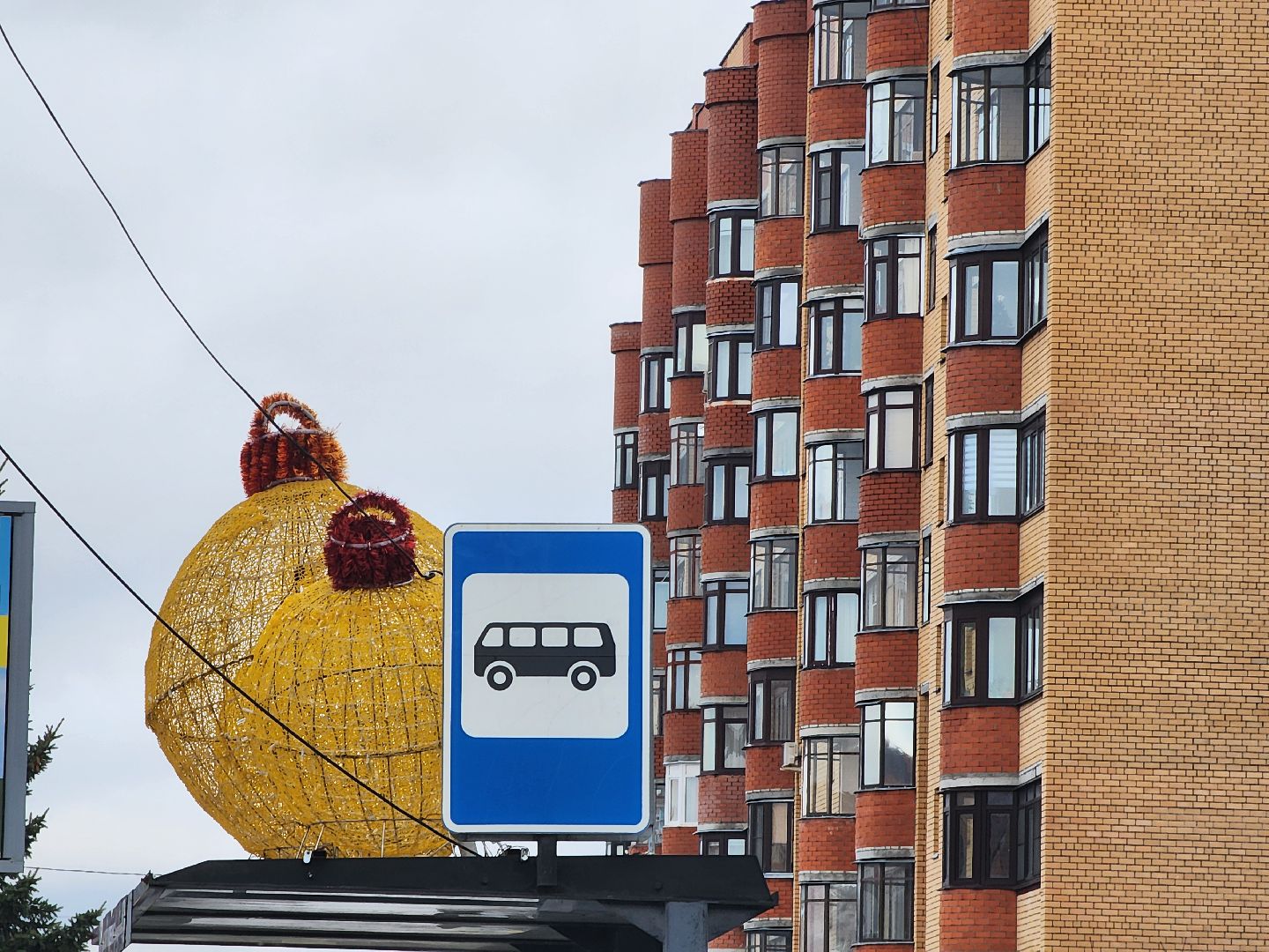 автобусы