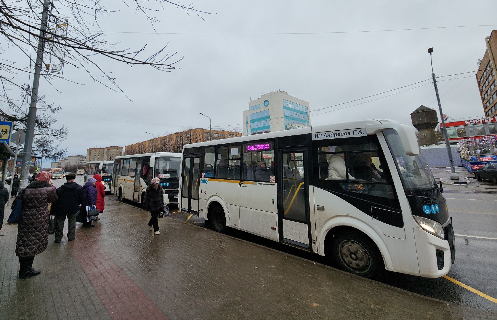 автобусы