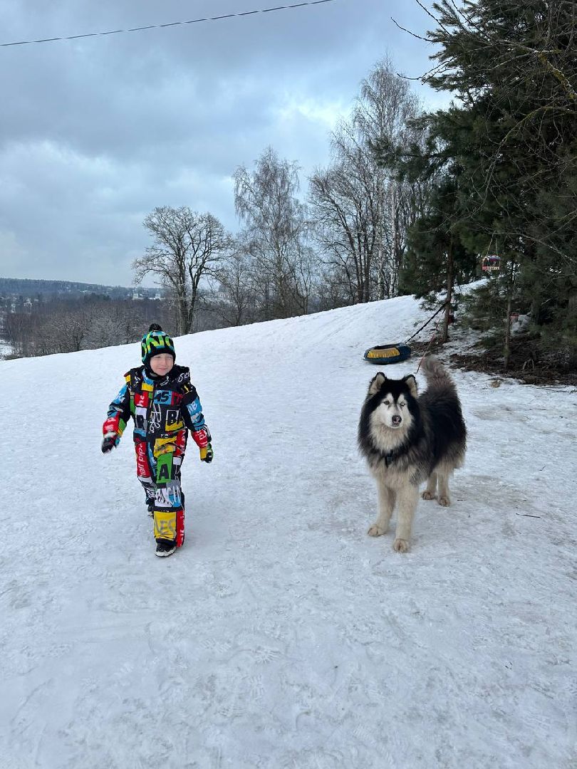 Катание на лыжах