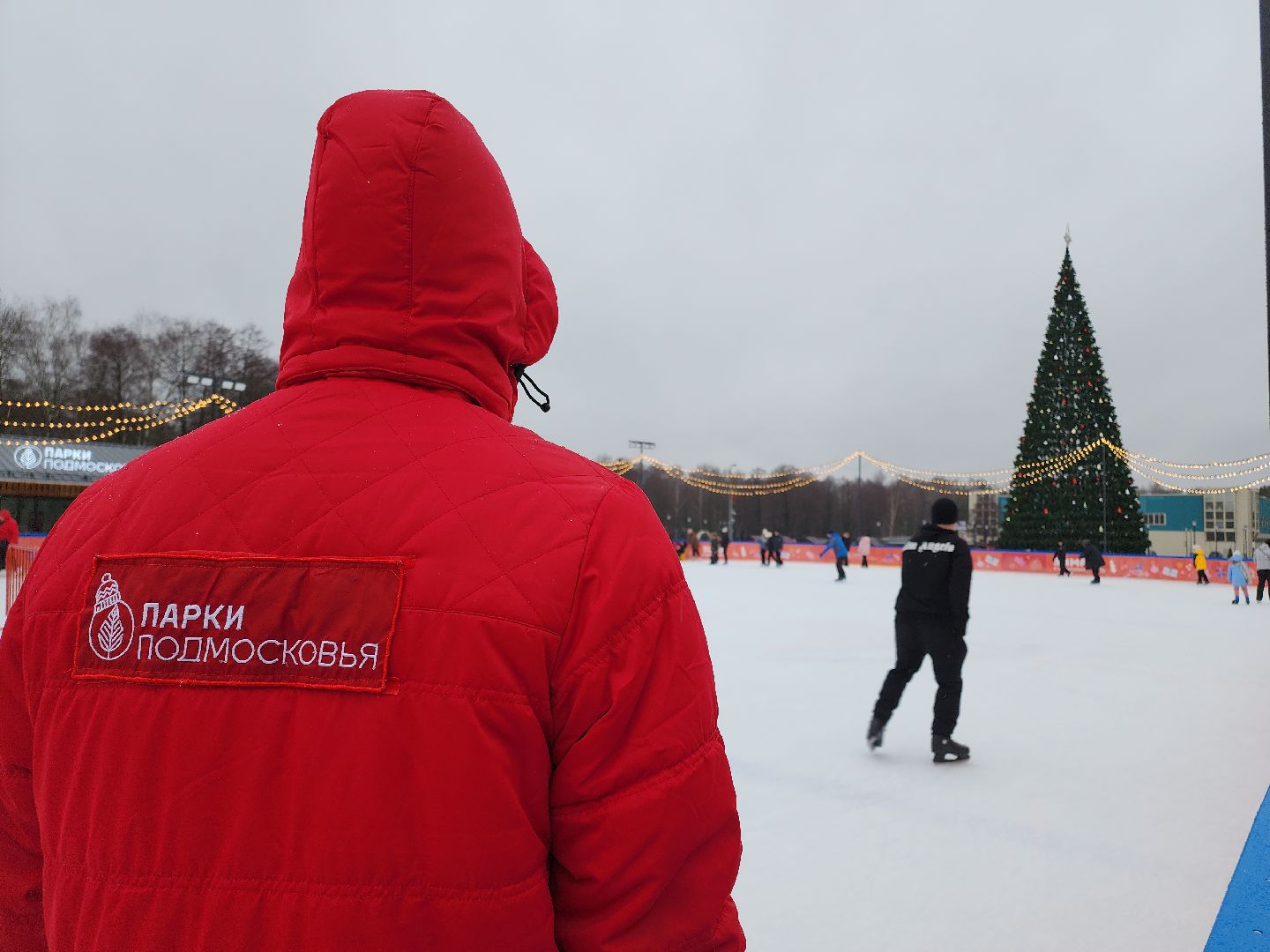 Московская область