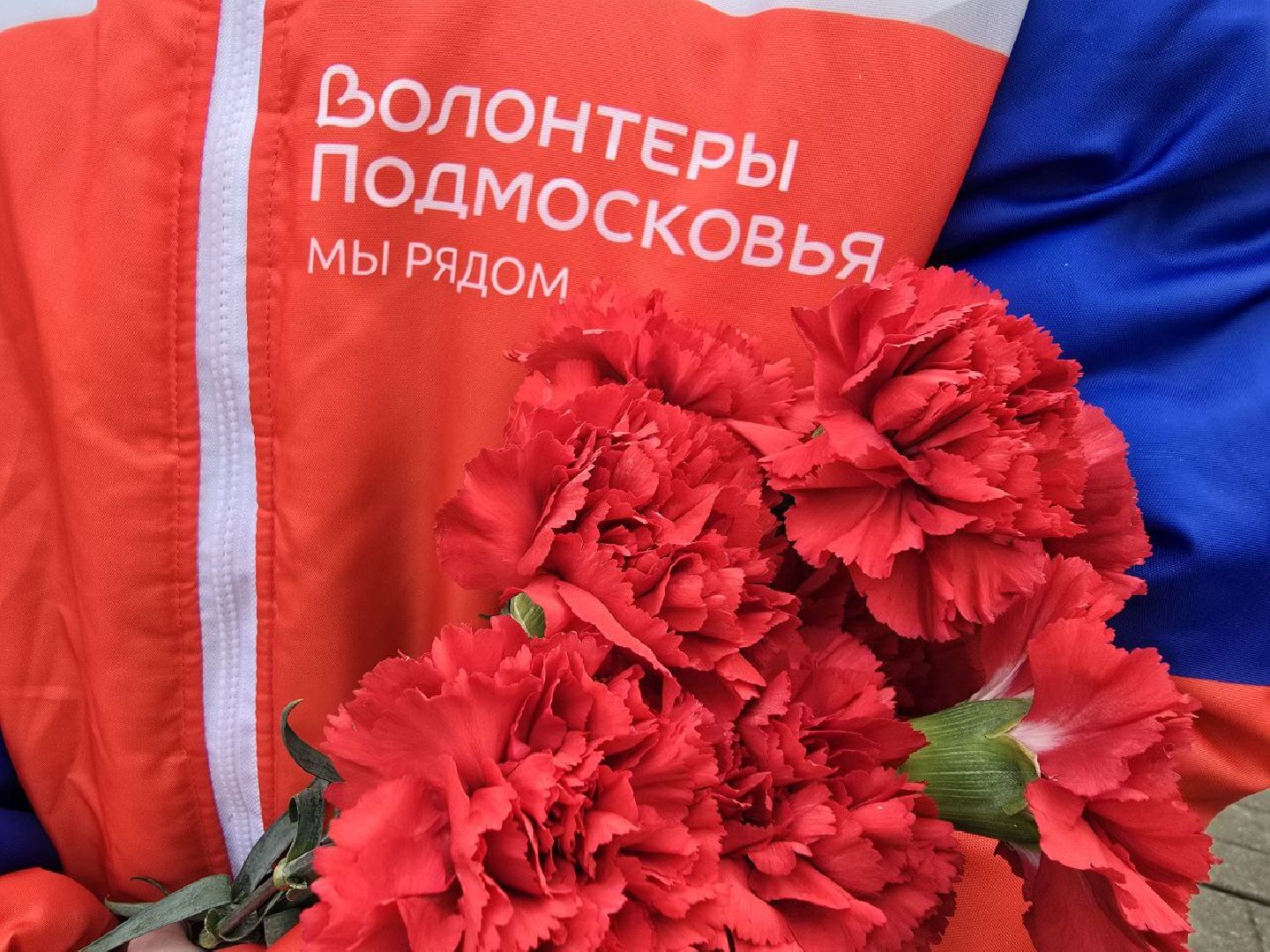 волонтеры подмосковья