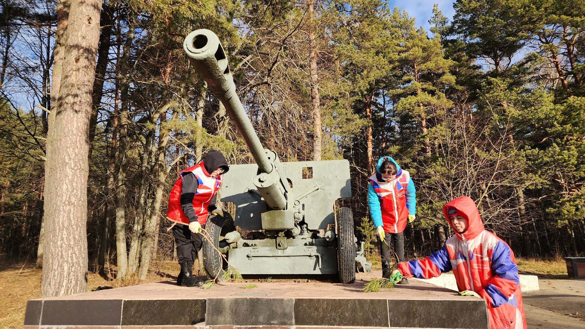 волонтеры подмосковья