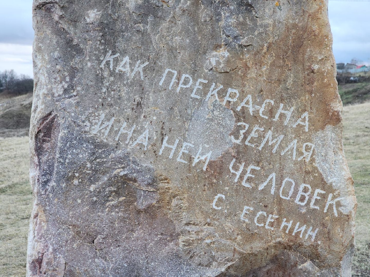 тик