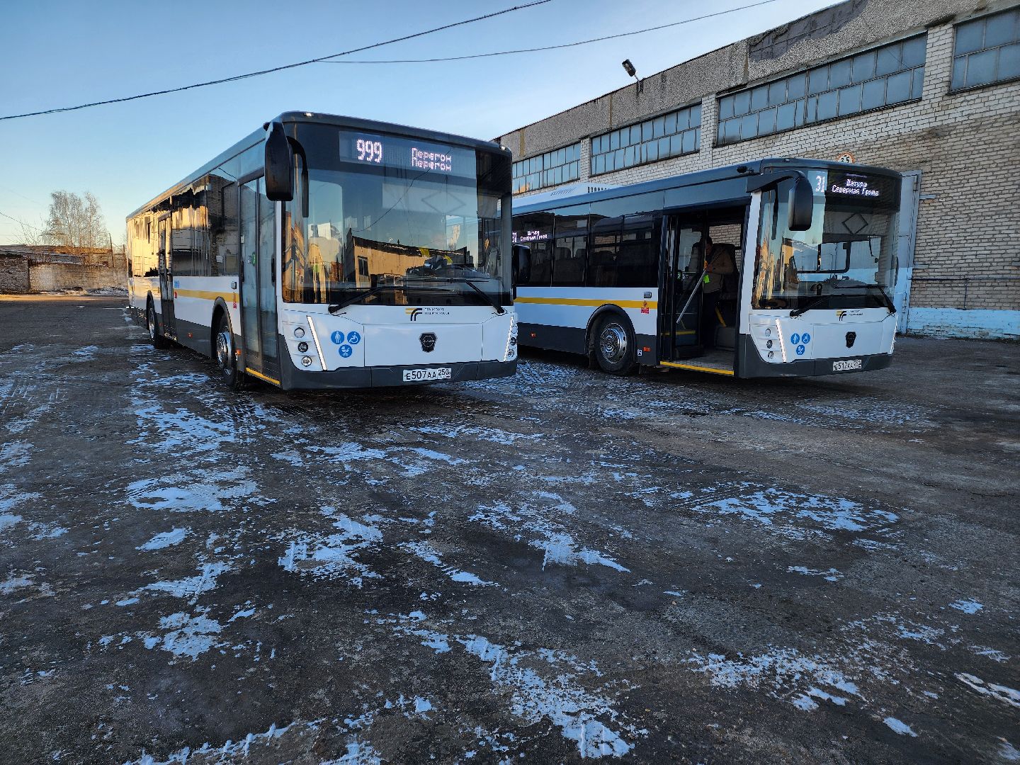 автобусы