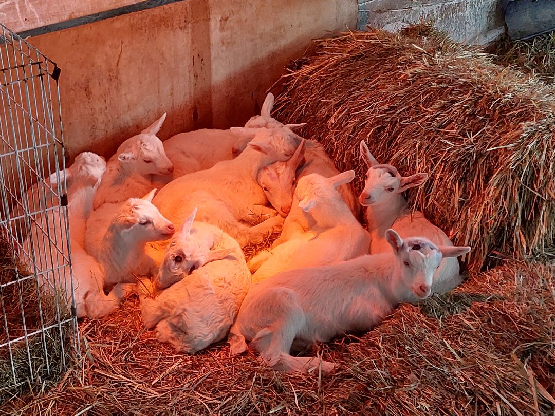 воскресенск