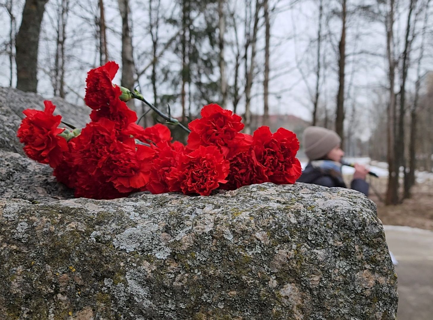 Общество