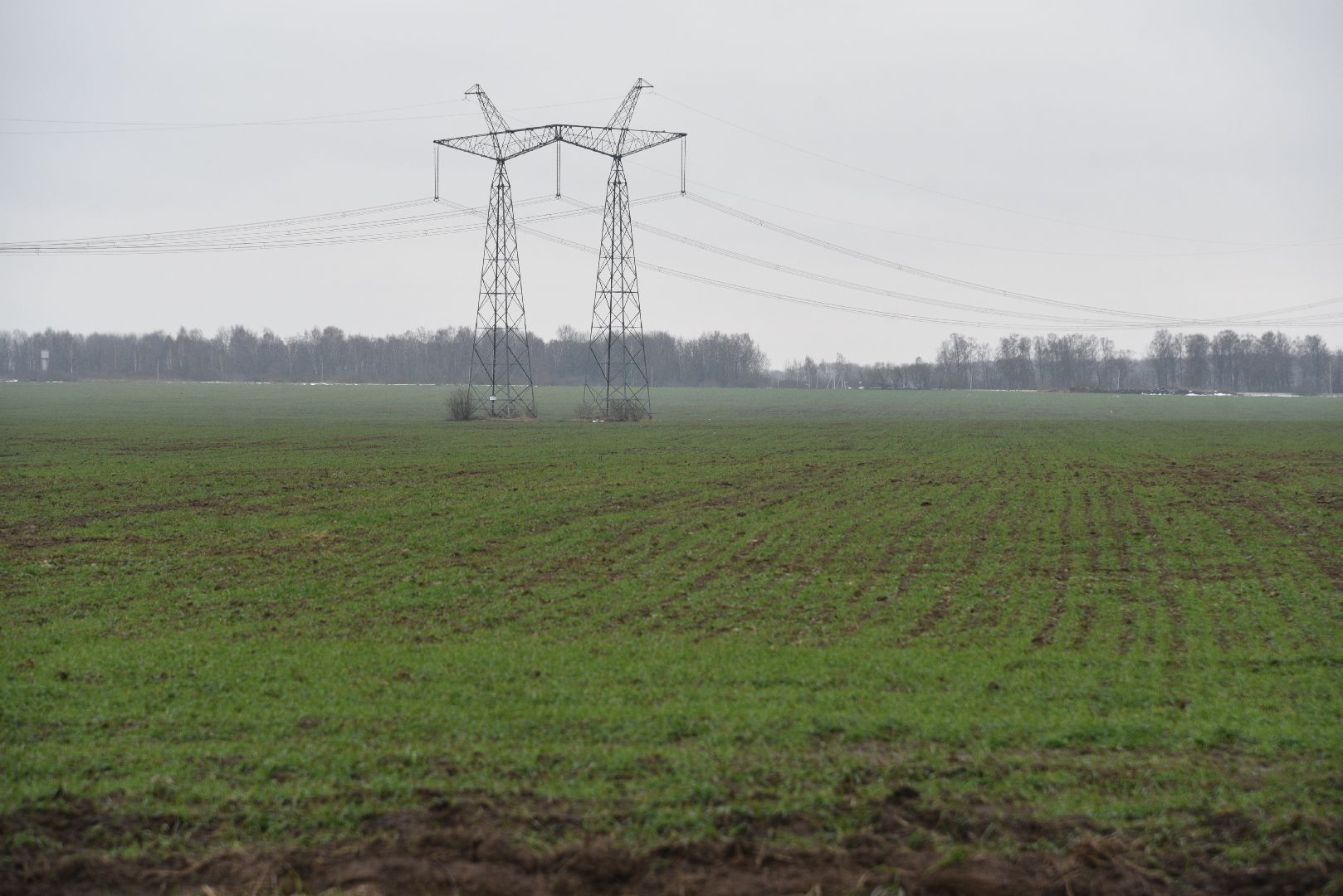 сельское хозяйство