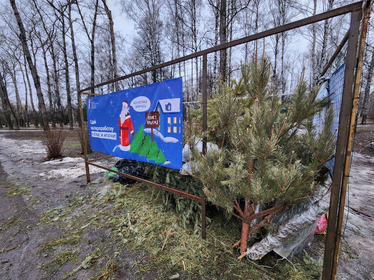 экологическая акция