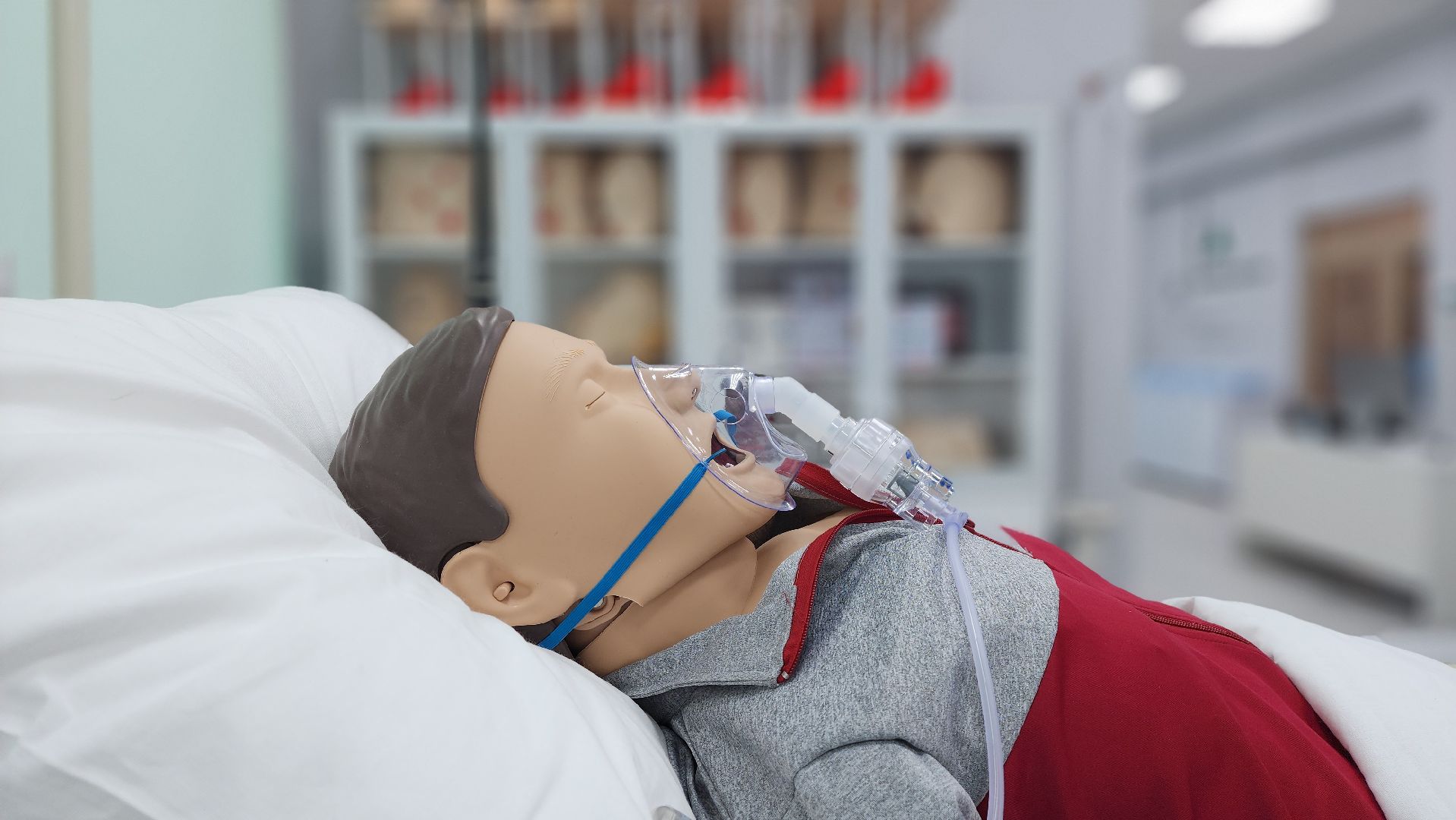 солнечногорск