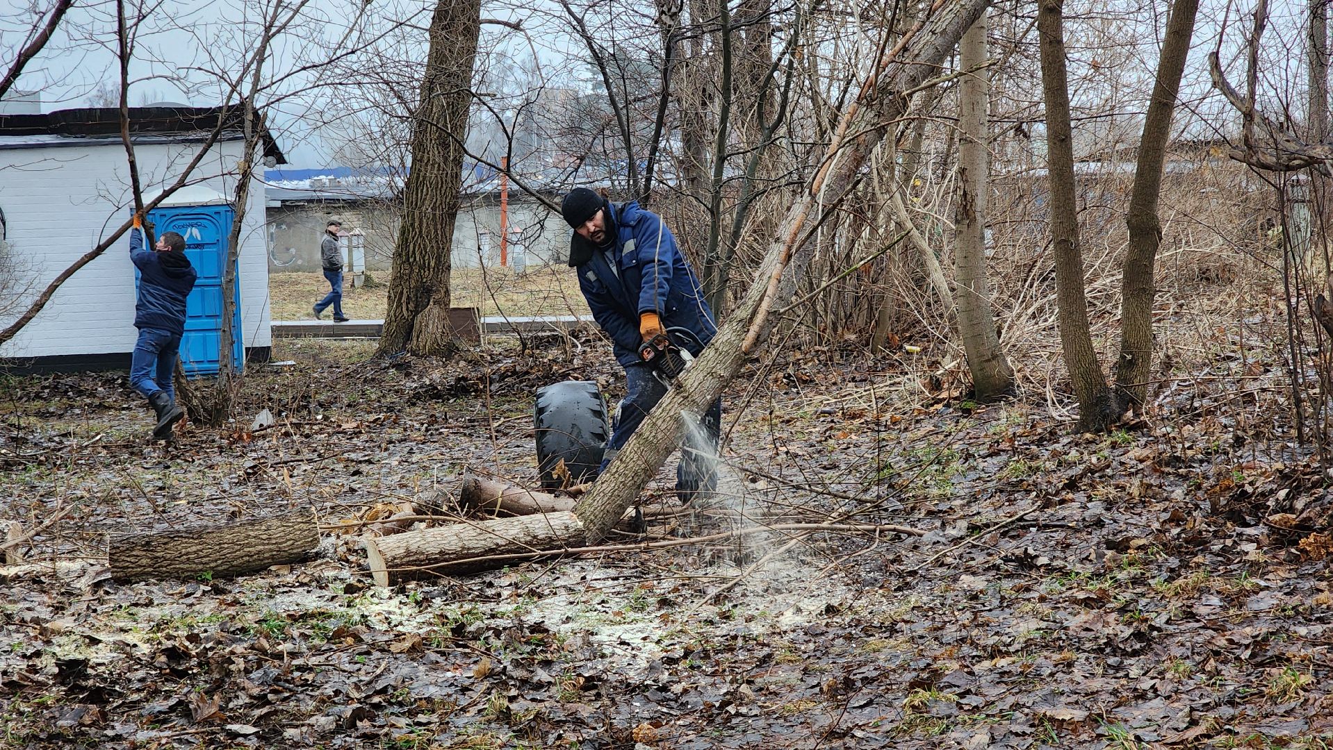 благоуствойство