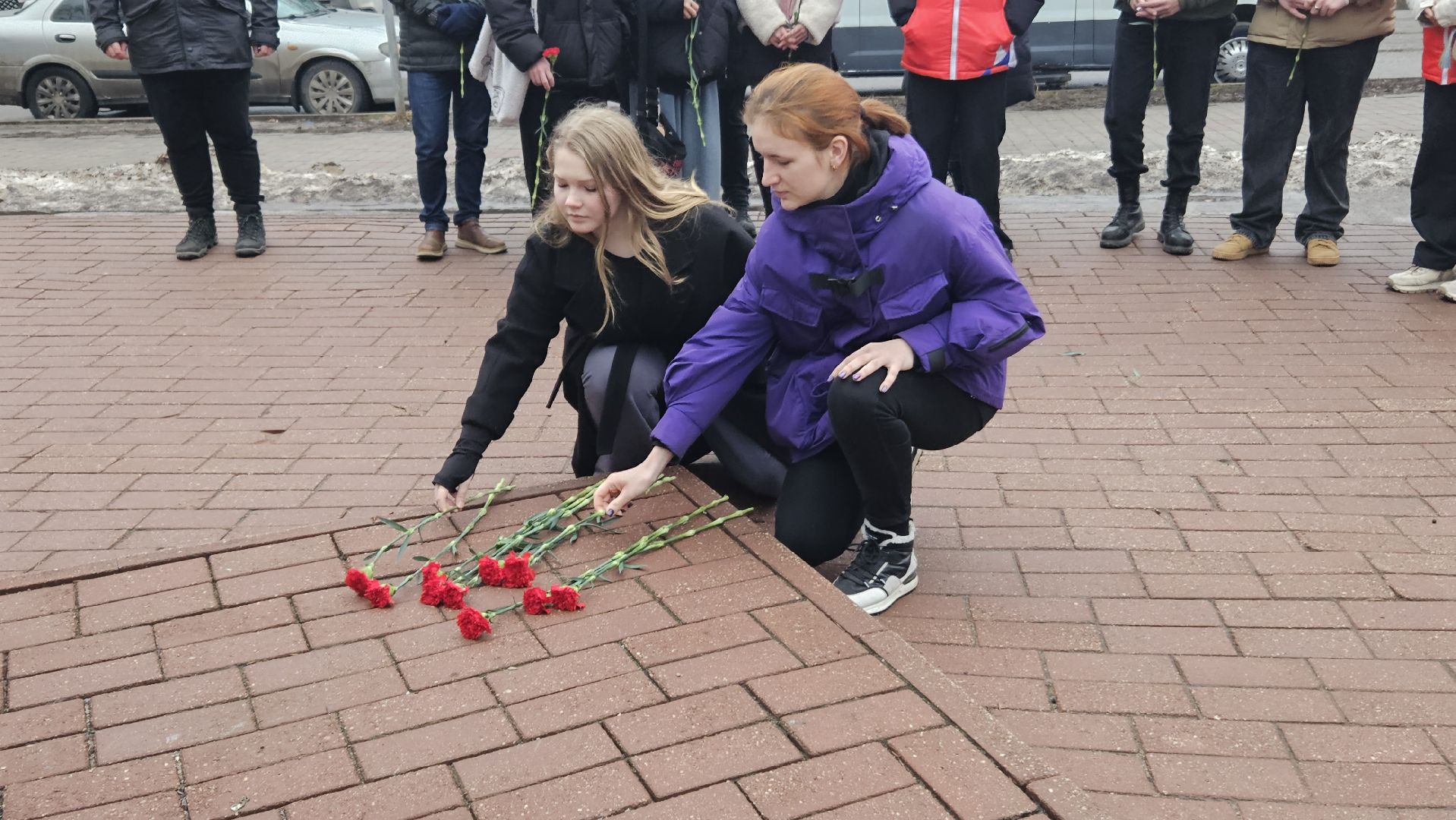 волонтеры подмосковья