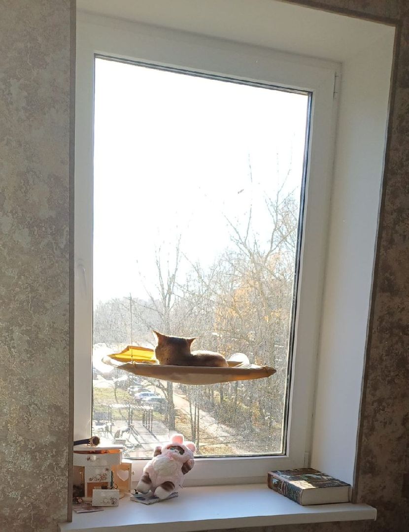педагог