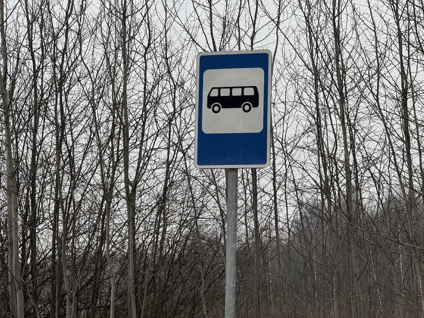 жител