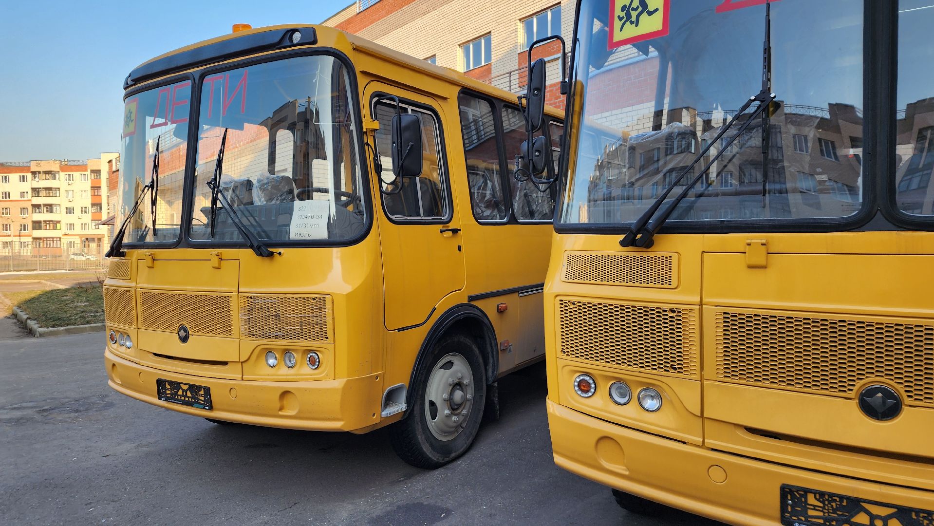 автобусы