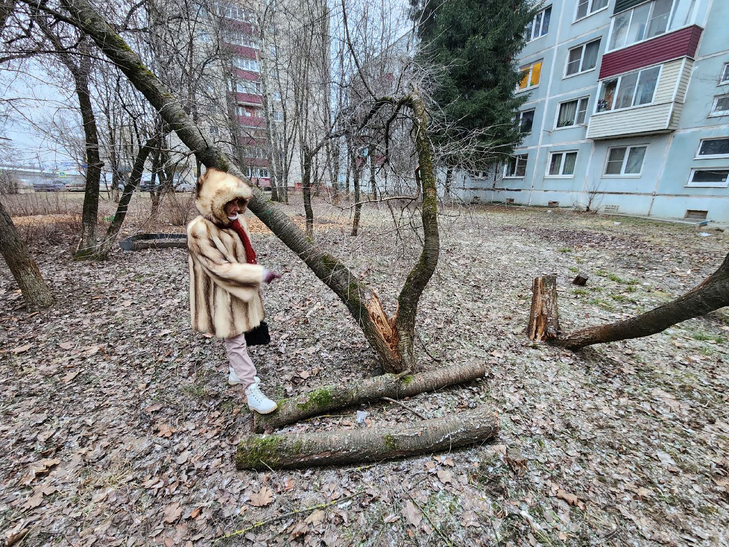 администрация