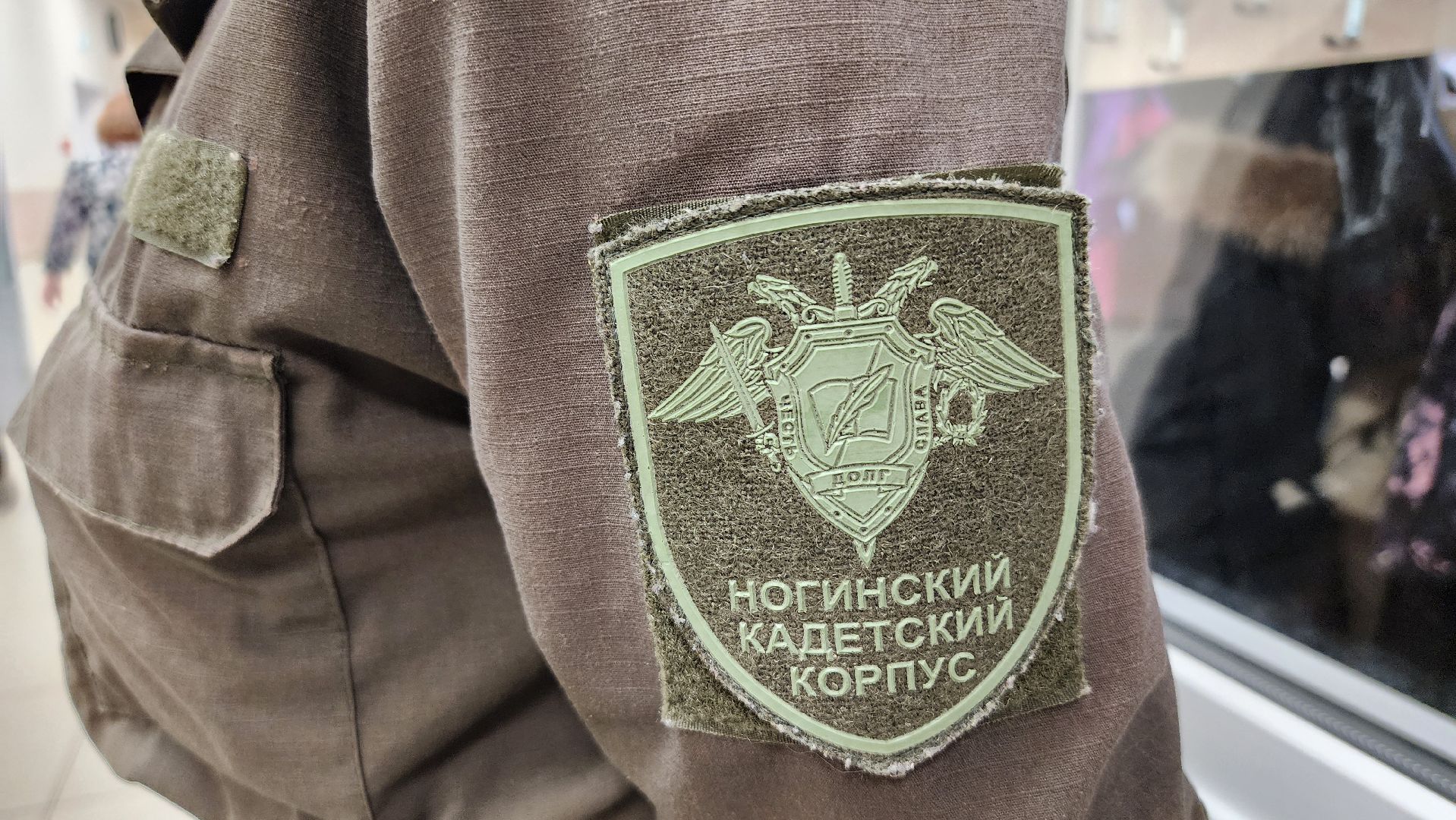 меры поддержки