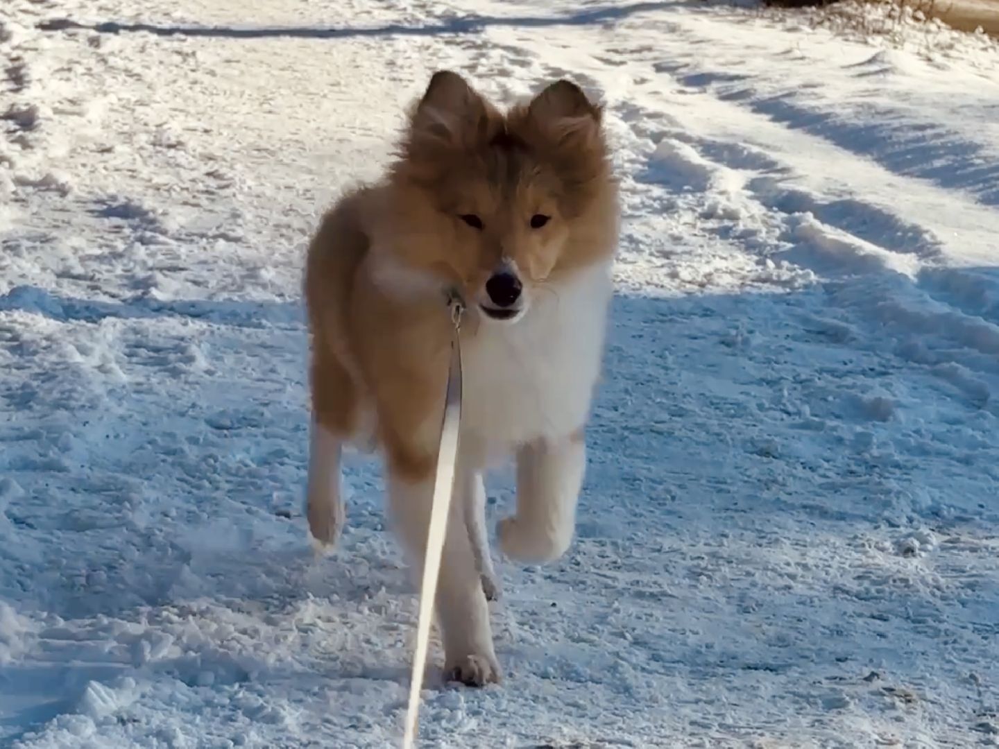 ЕР