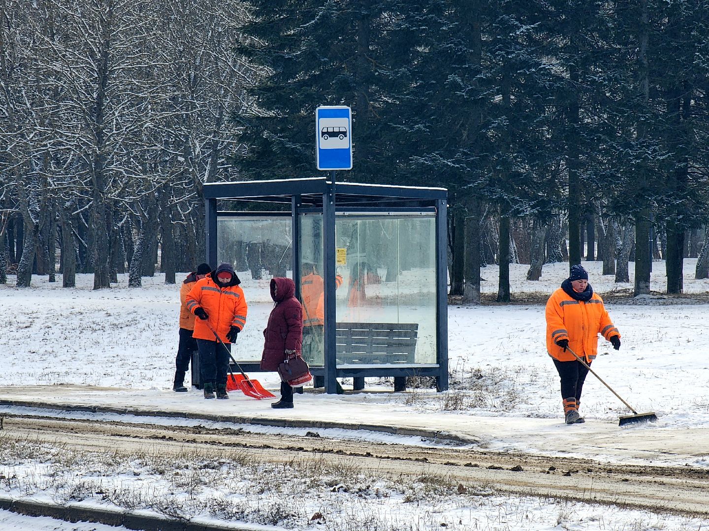 Дороги