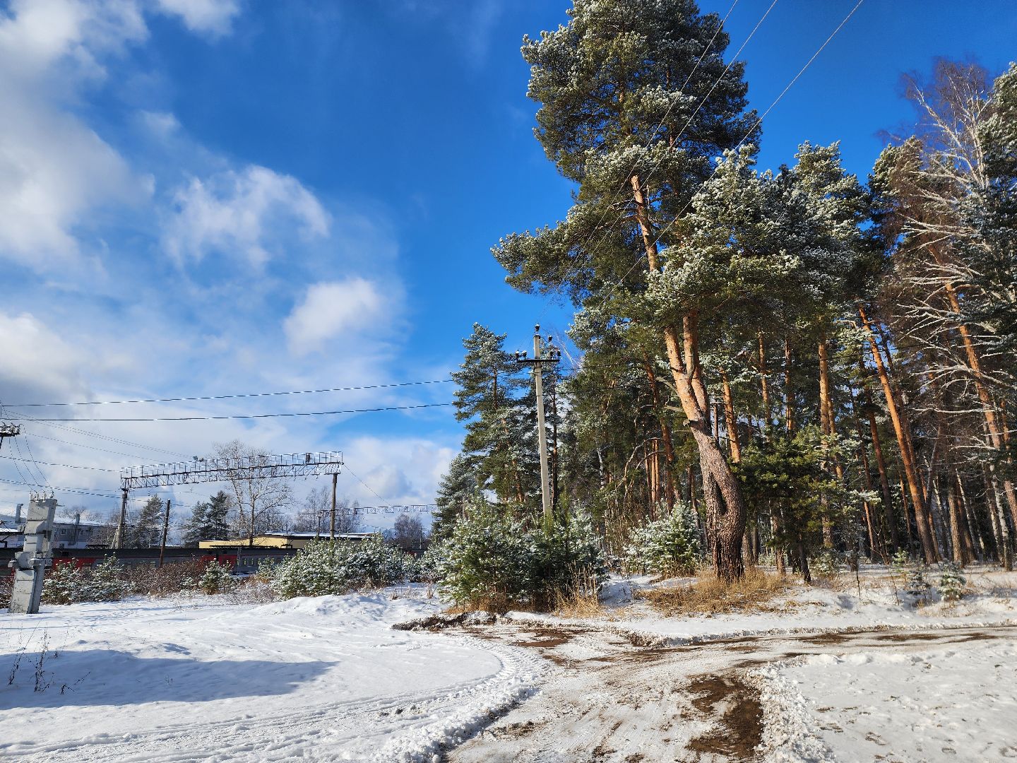 городской округ Пушкинский