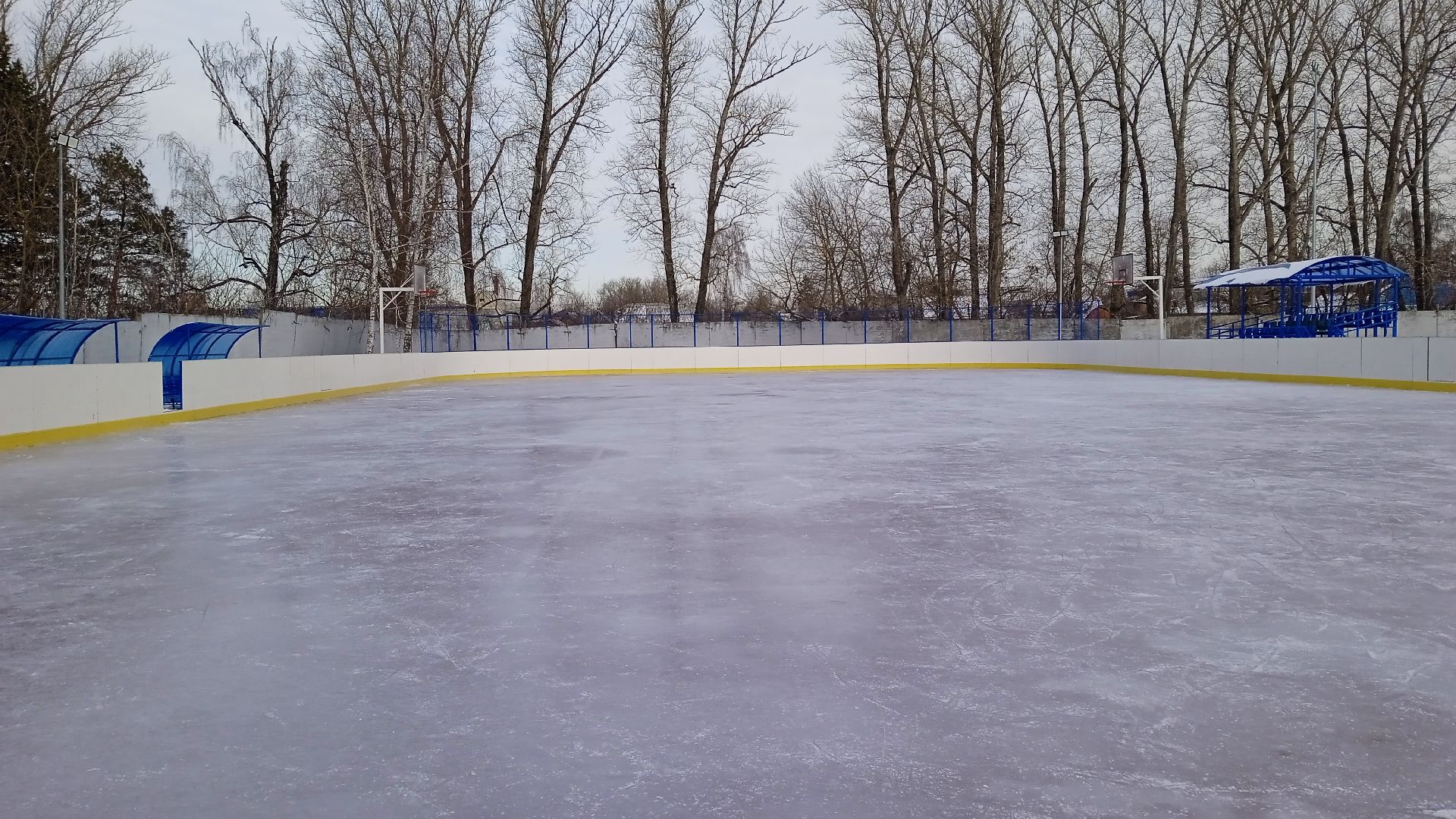 Катание на коньках