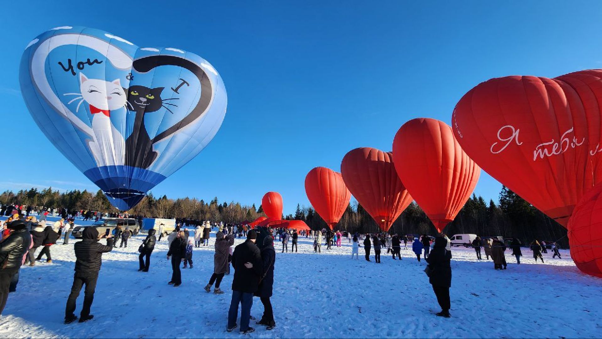 вертикакли