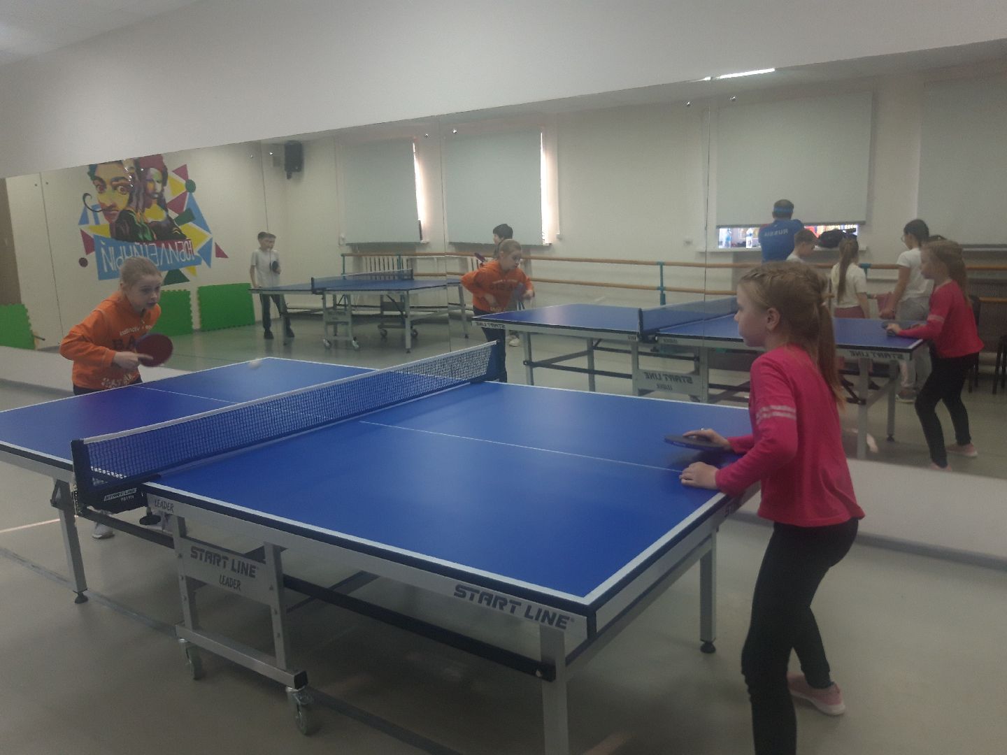 настольный теннис