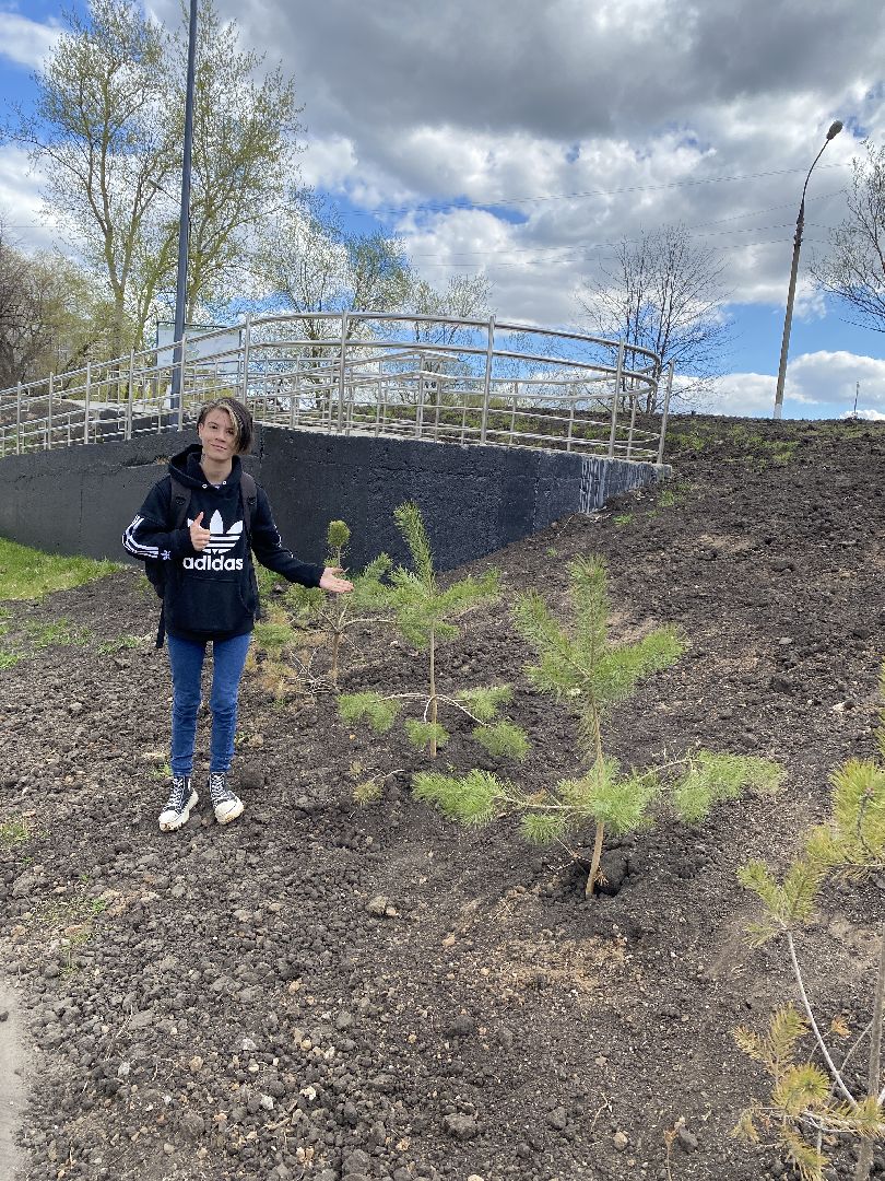 пауэрлифтинг