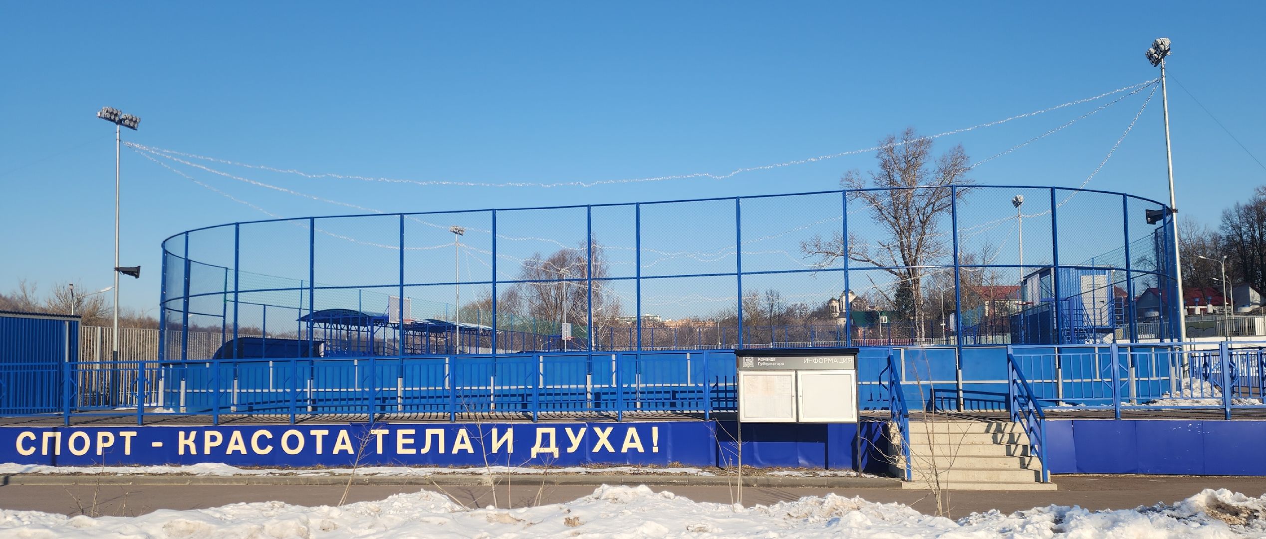 общество