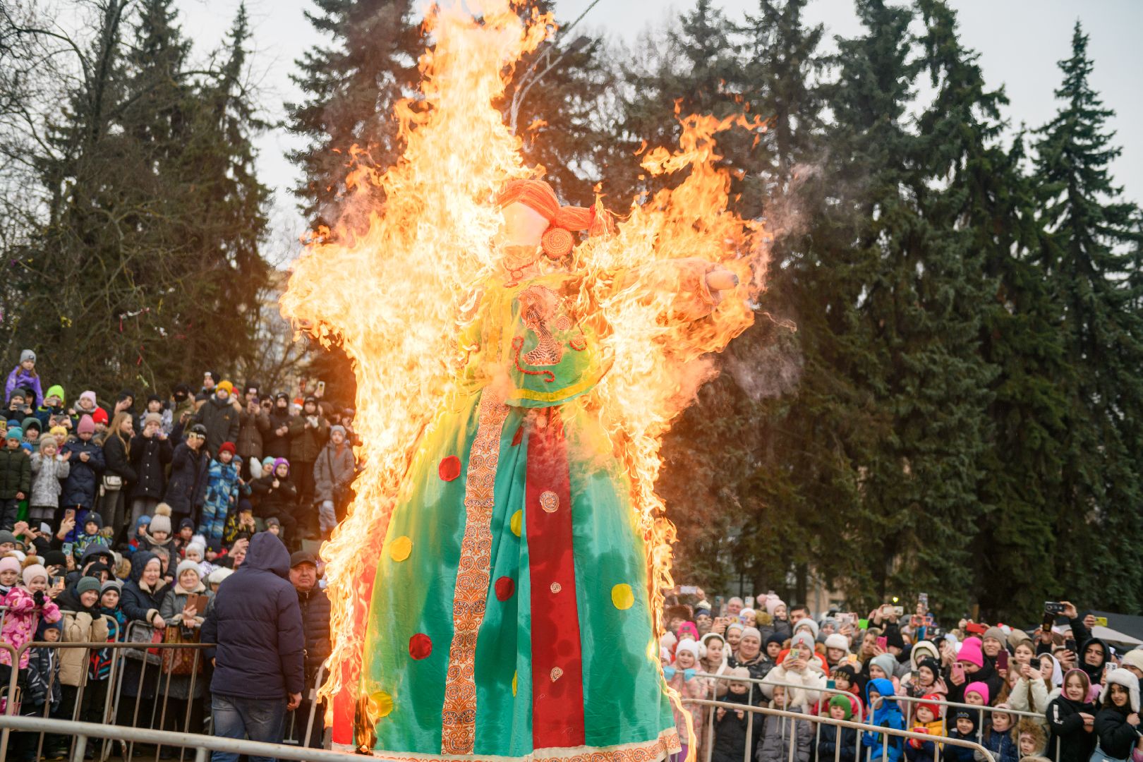 общество