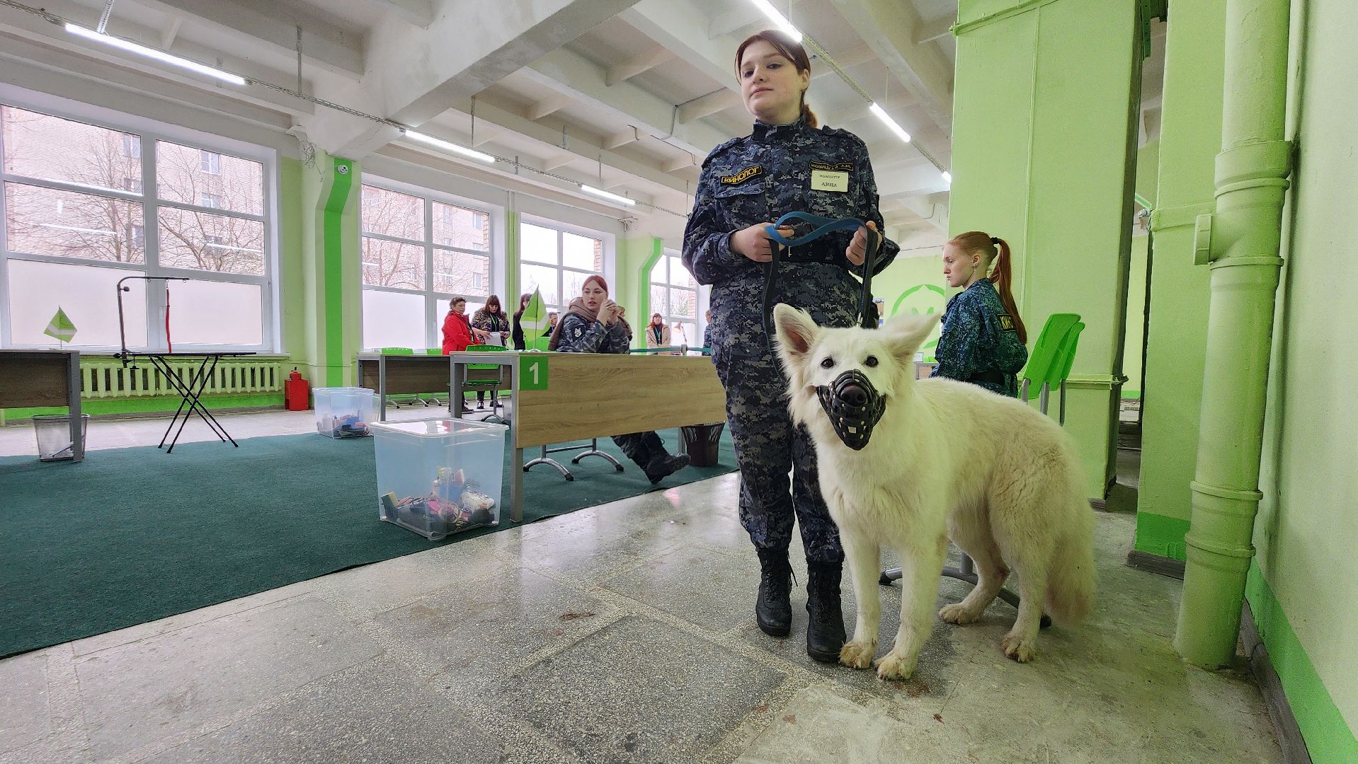 чемпион