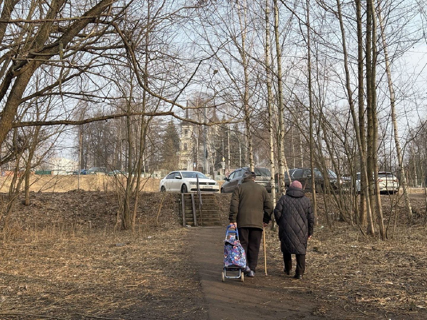 стая