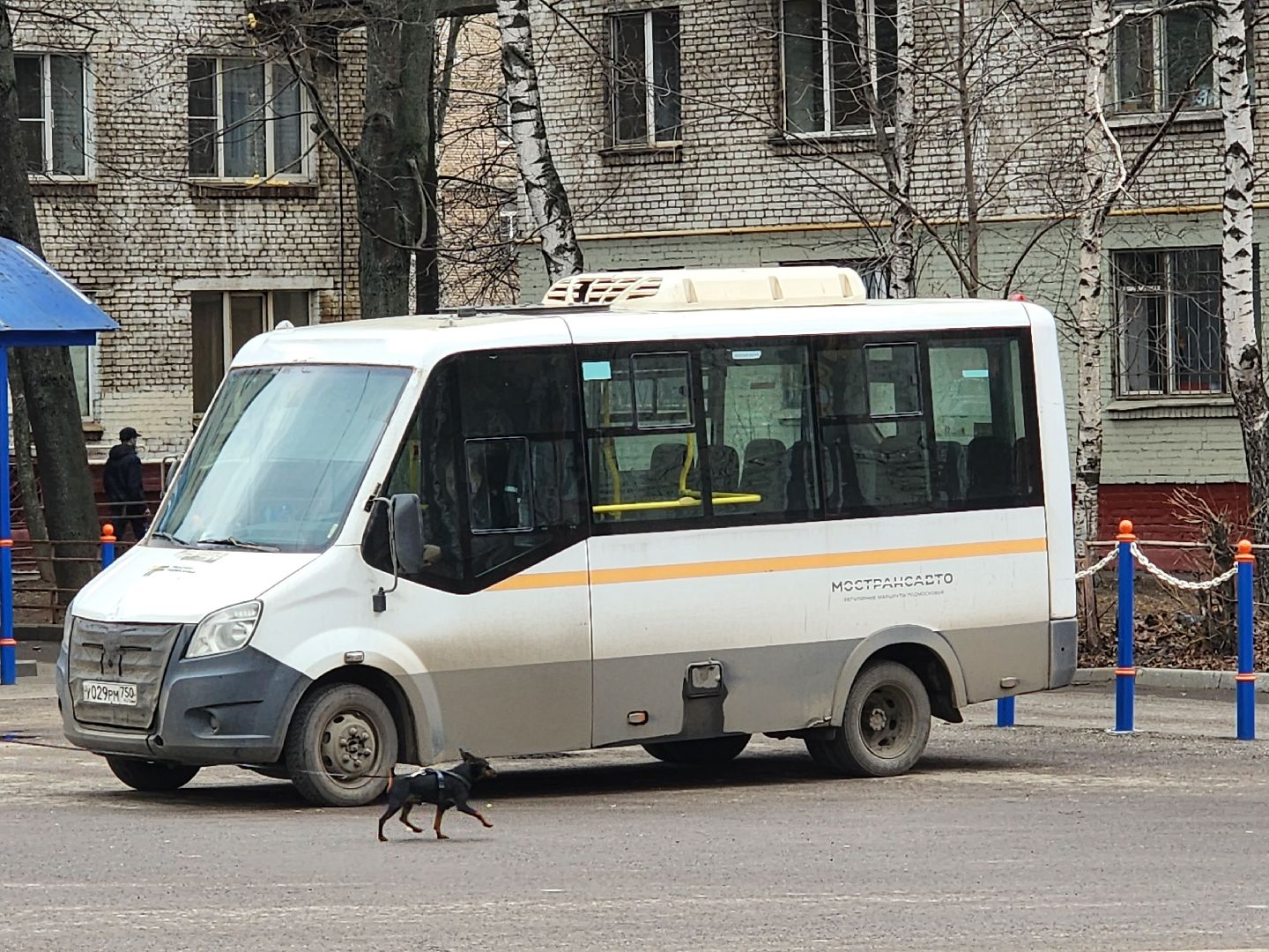 администрация