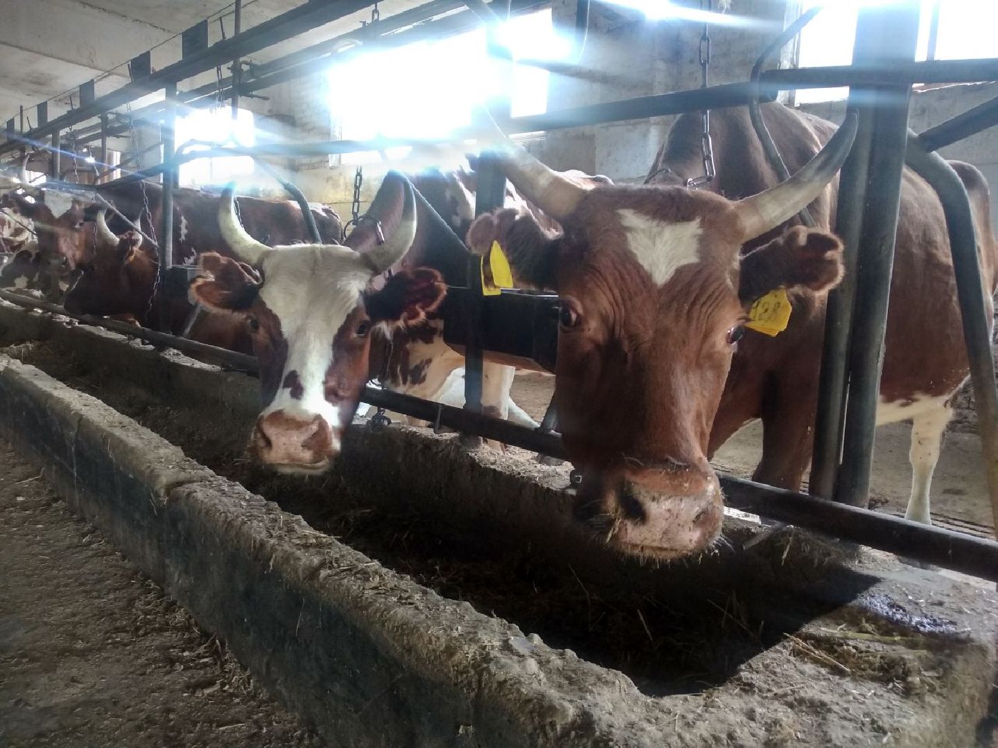 минсельхоз