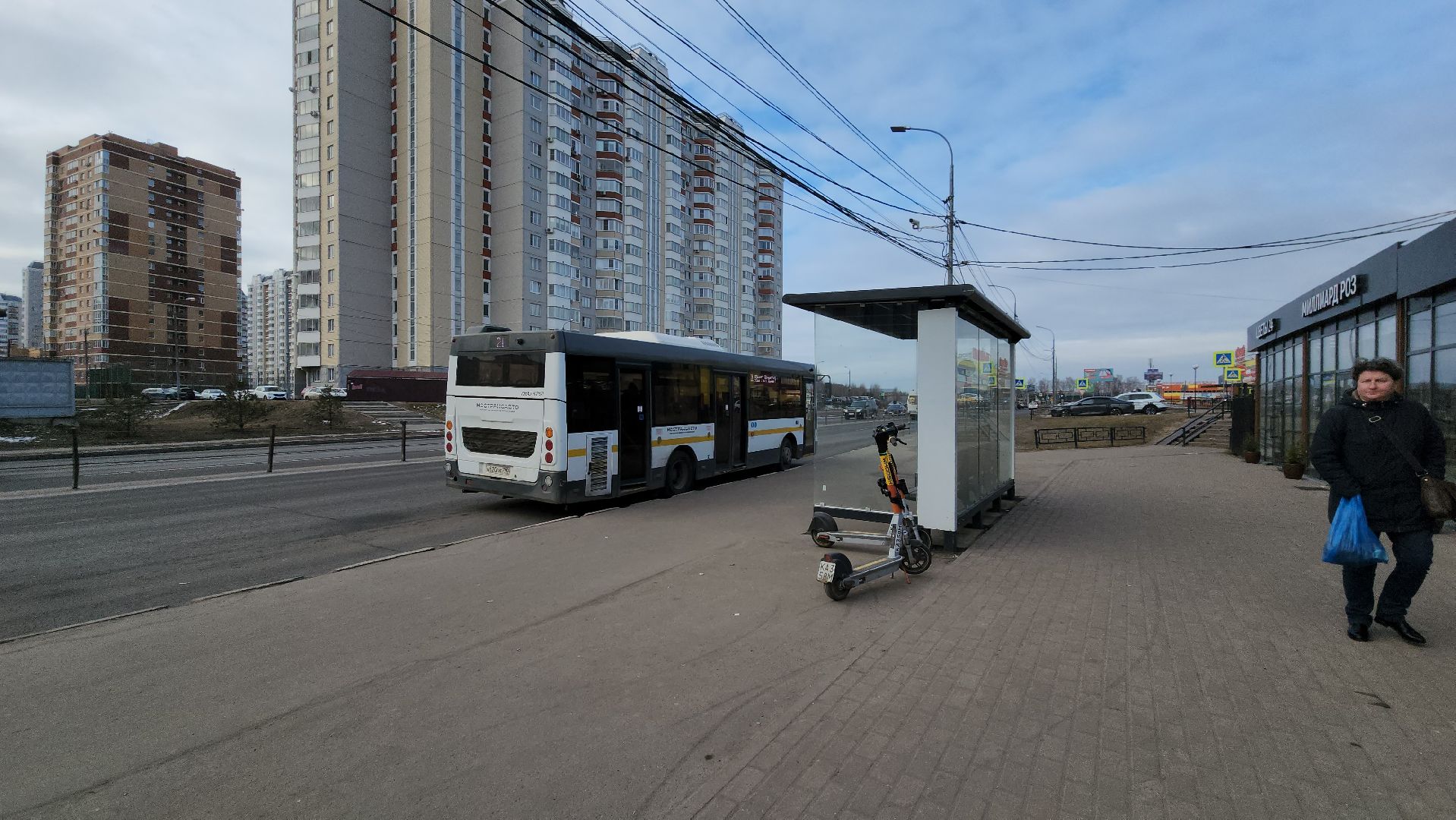 автобусы