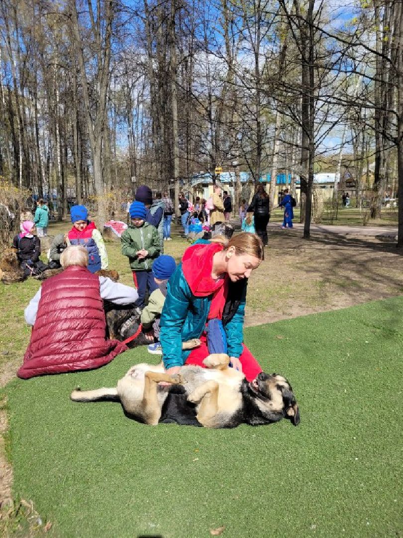 центральный парк