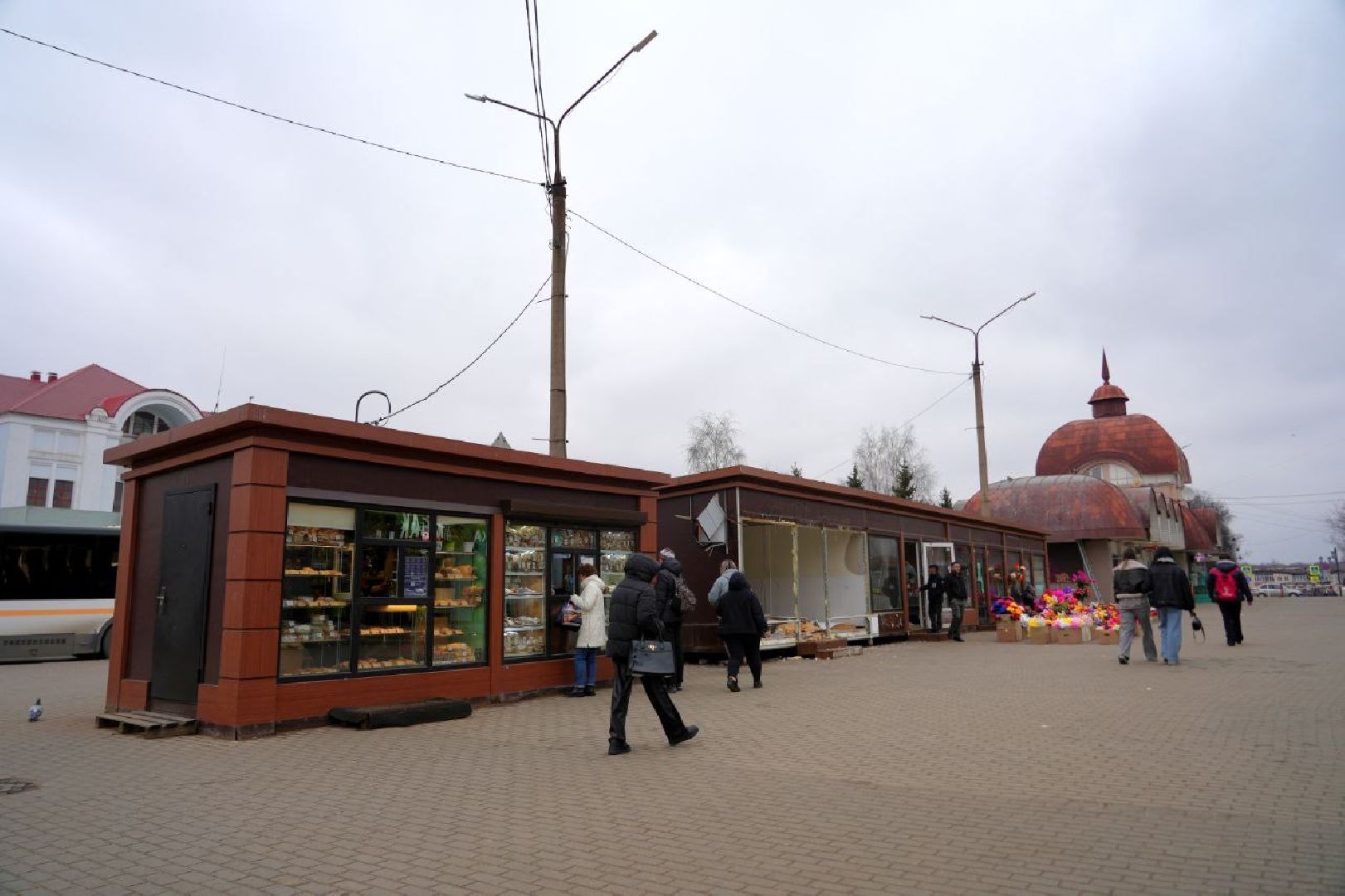 ели