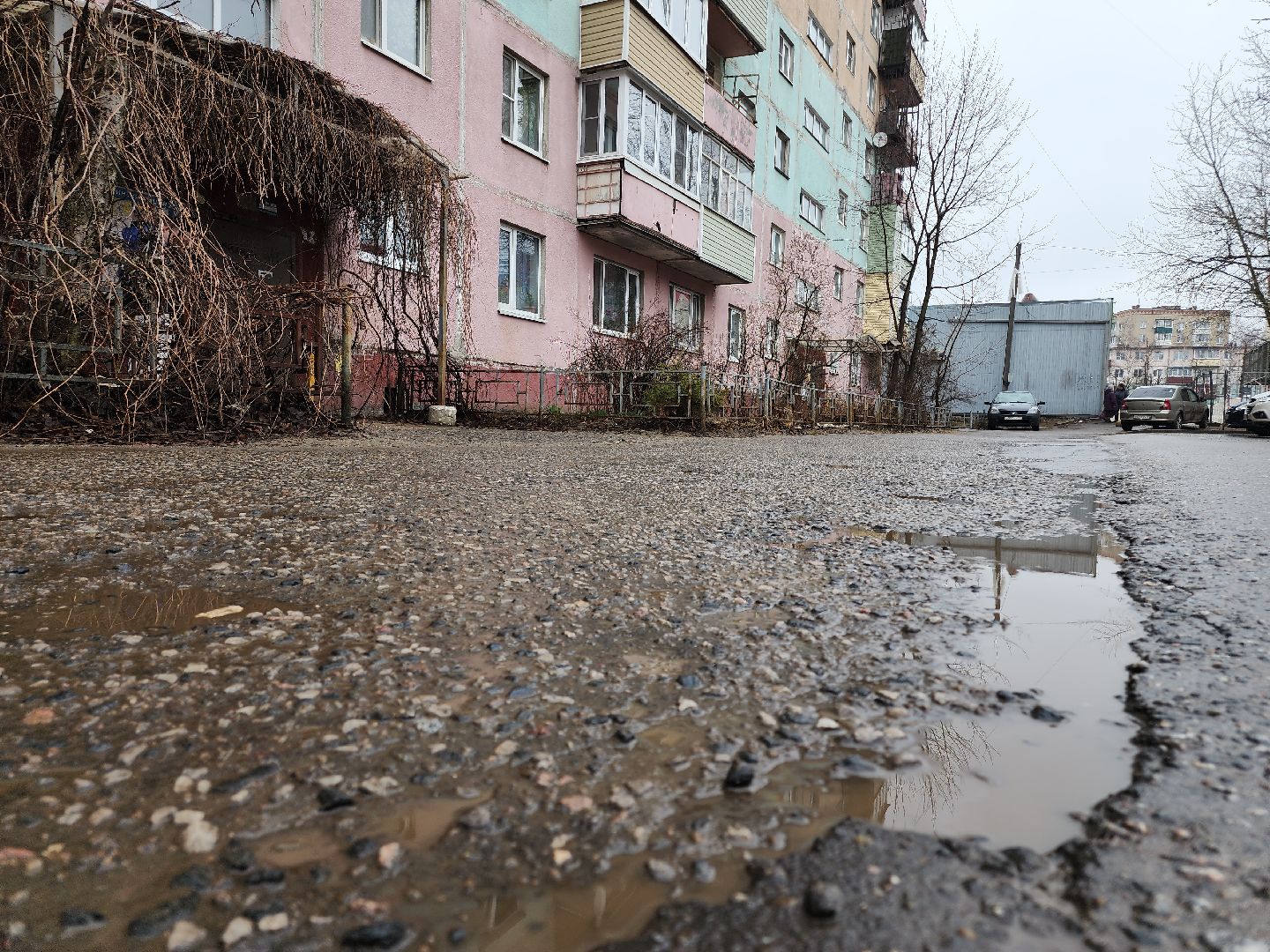 Московская область