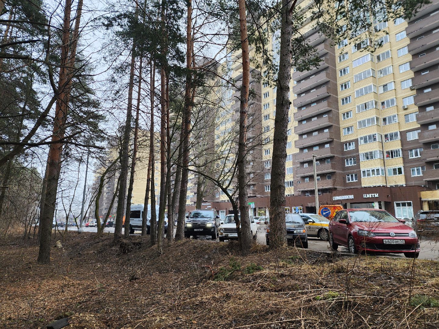 новый