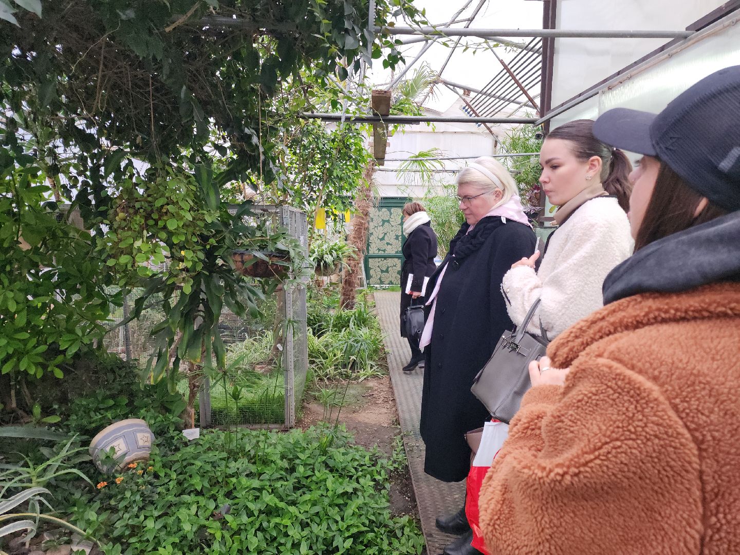 образование в подмосковье