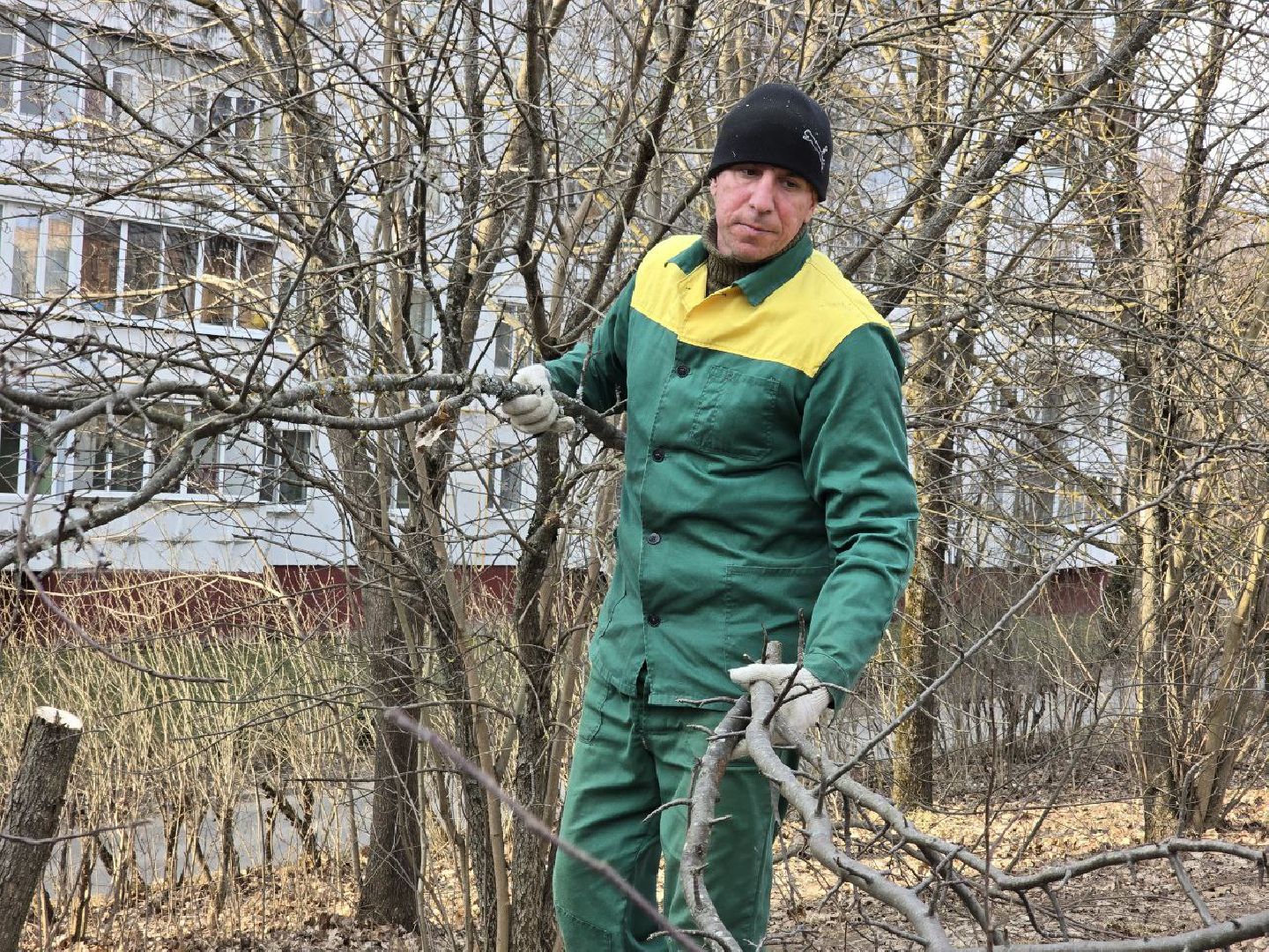 можайский муниципальный округ