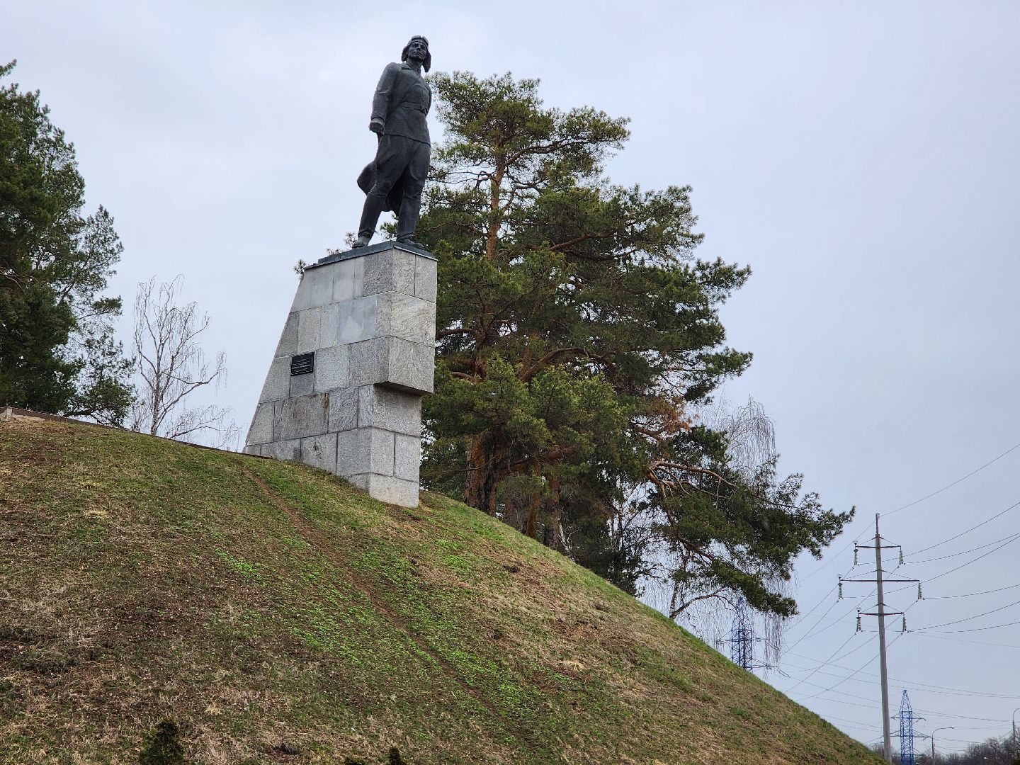 ели