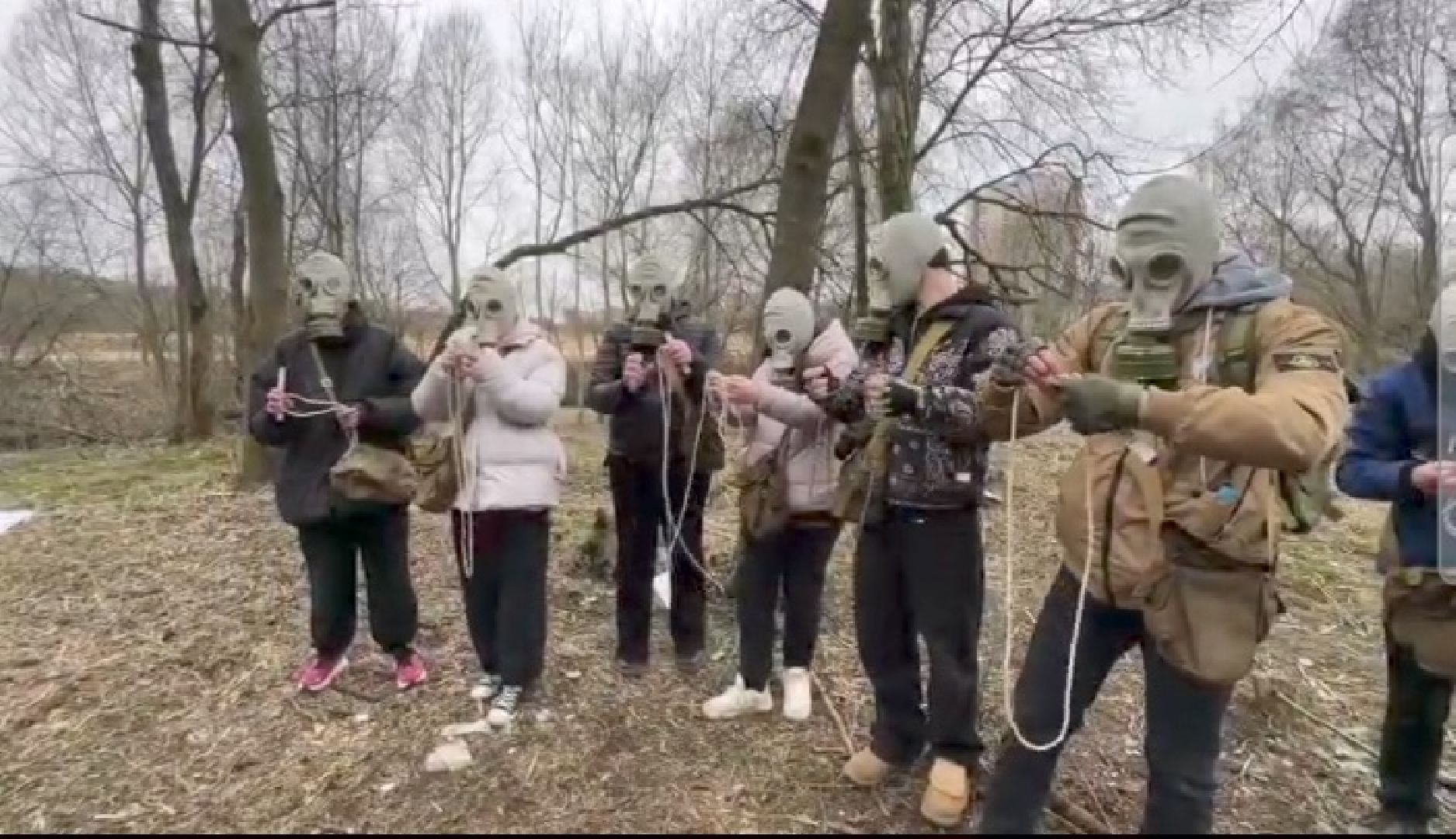 зарница