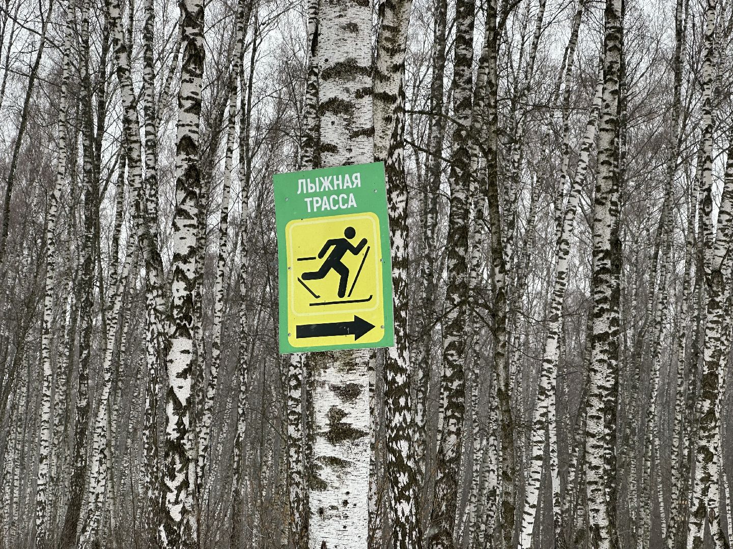 лыжи