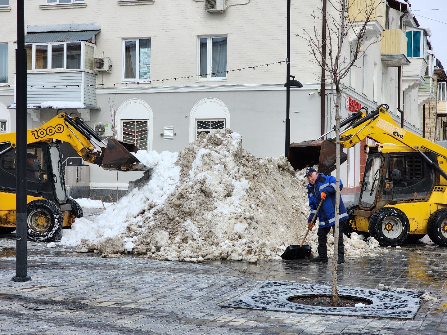 Общество
