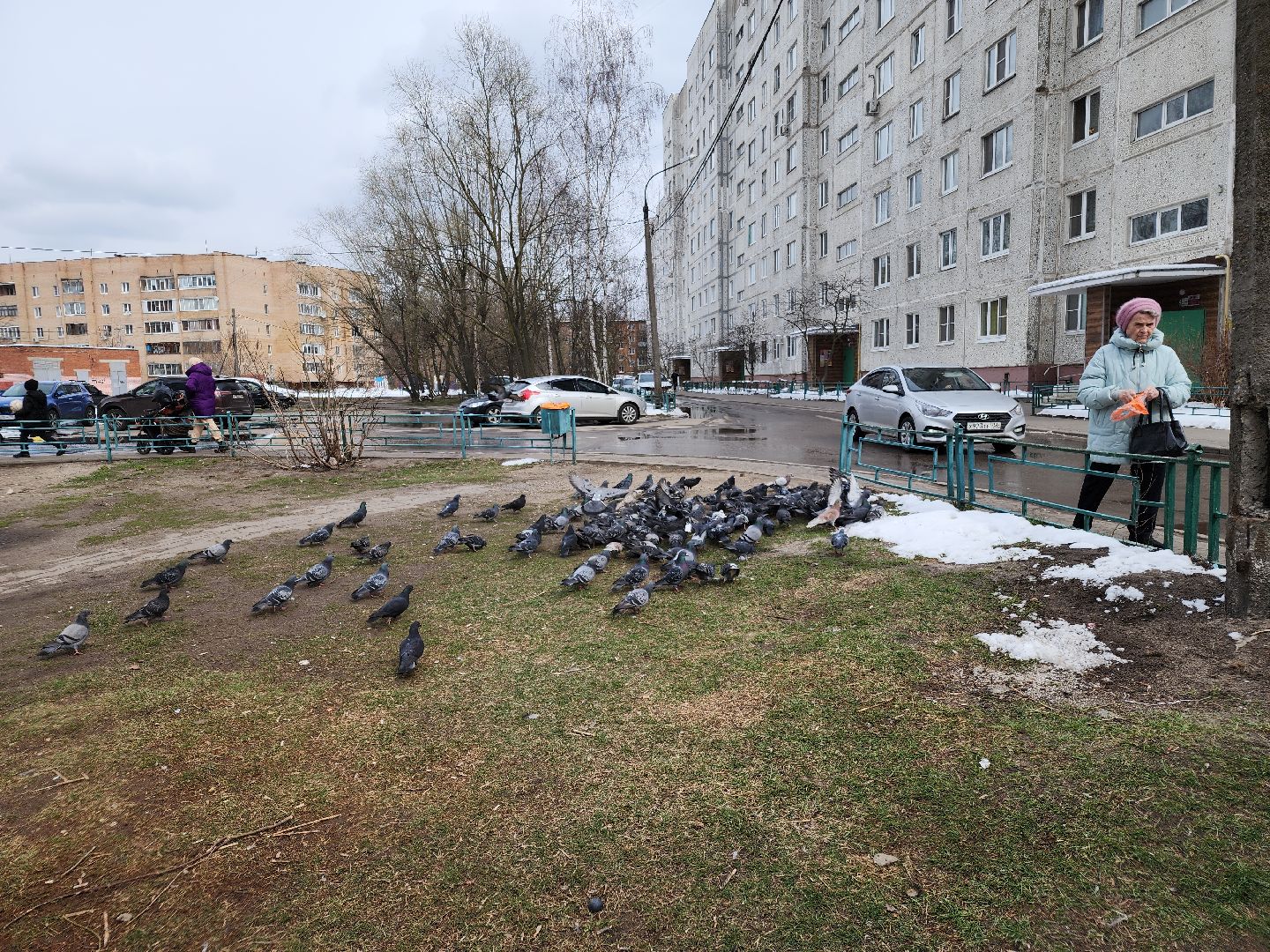 истра
