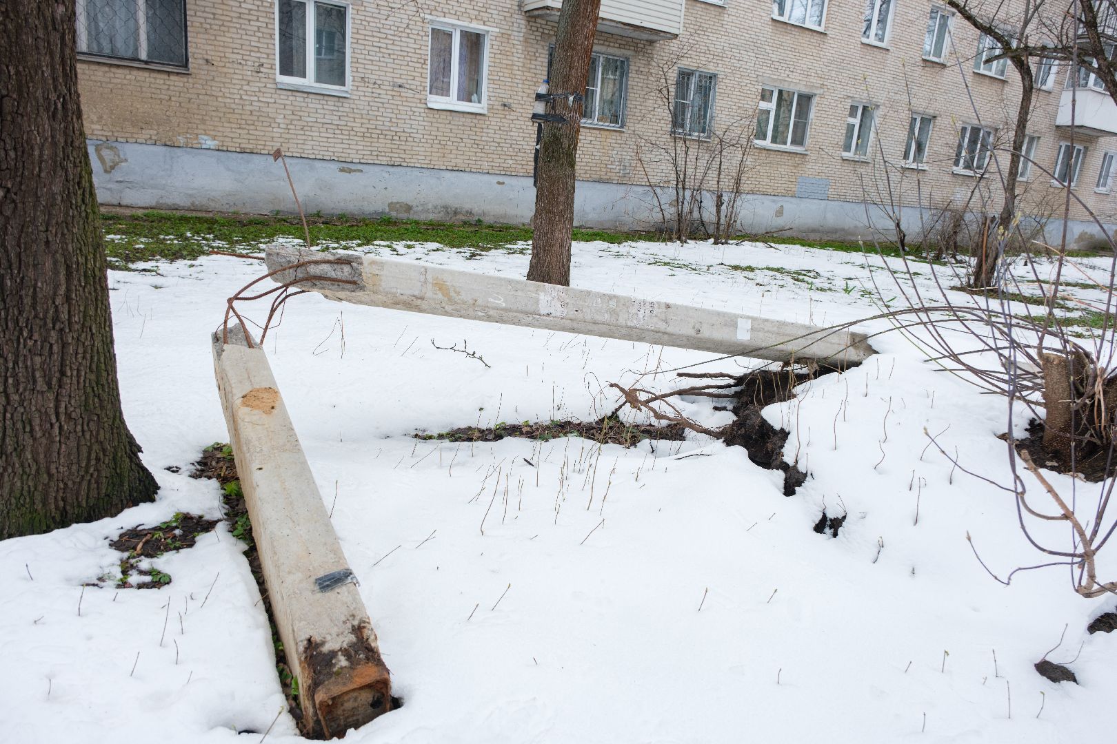 Общество